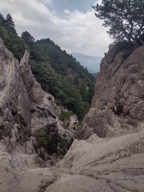 f:id:developingexplorer:20240901074646j:image