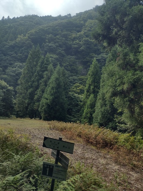 f:id:developingexplorer:20240901074949j:image