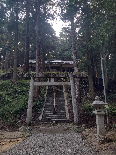 f:id:developingexplorer:20240901075258j:image
