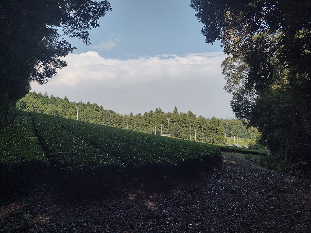 f:id:developingexplorer:20240901075355j:image
