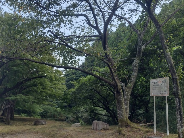 f:id:developingexplorer:20240901075402j:image
