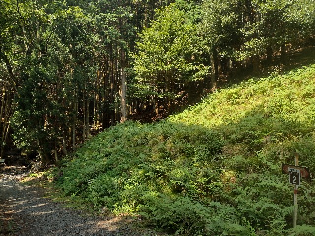f:id:developingexplorer:20240901133302j:image