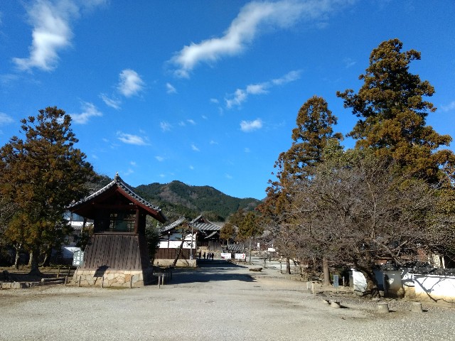 f:id:developingexplorer:20240908143430j:image