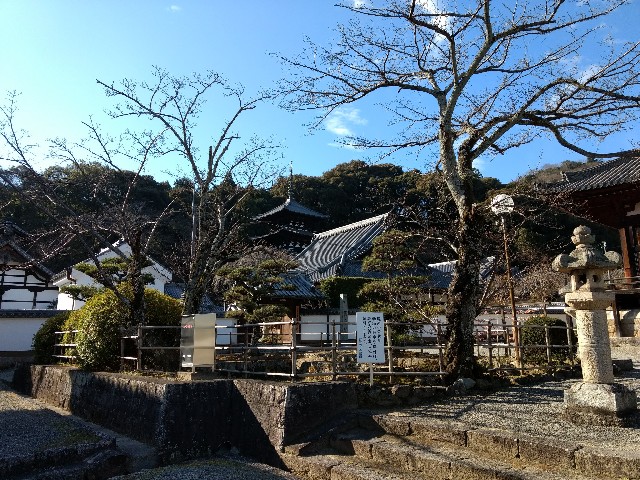 f:id:developingexplorer:20240908143512j:image