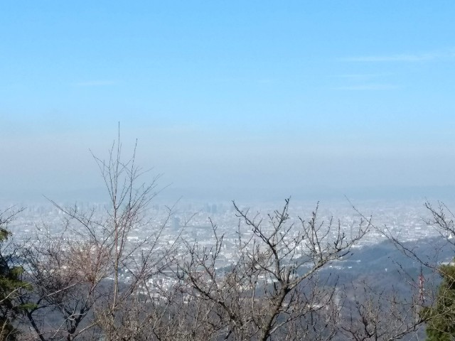 f:id:developingexplorer:20240908145048j:image