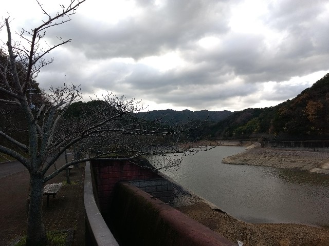 f:id:developingexplorer:20240914185322j:image