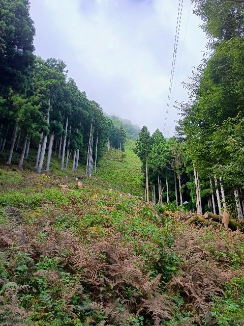 f:id:developingexplorer:20240922095152j:image