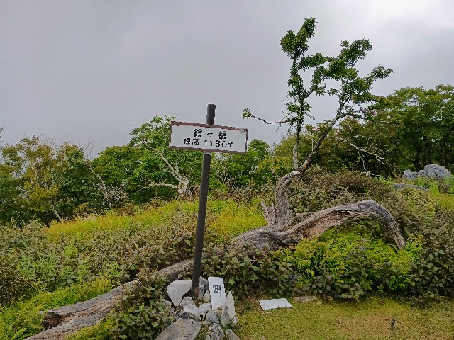 f:id:developingexplorer:20240922095446j:image