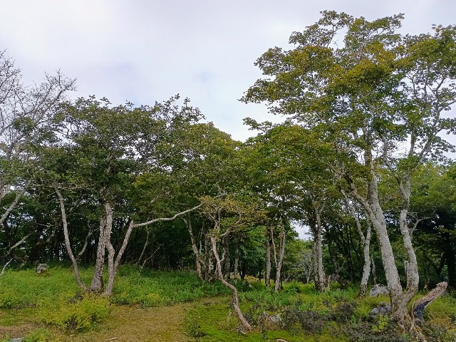 f:id:developingexplorer:20240922095453j:image