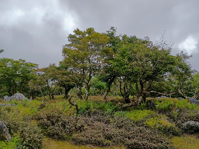 f:id:developingexplorer:20240922095502j:image