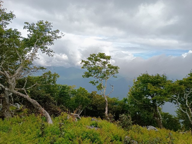 f:id:developingexplorer:20240922095508j:image