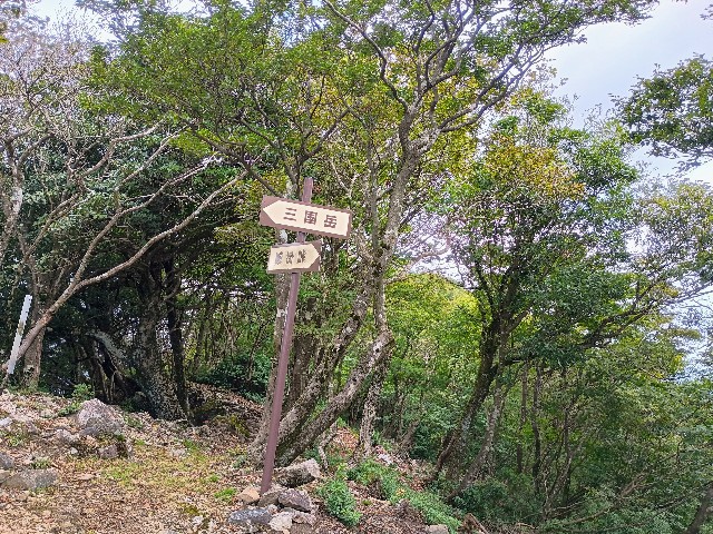f:id:developingexplorer:20240922100214j:image