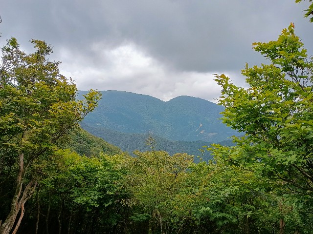 f:id:developingexplorer:20240922100853j:image
