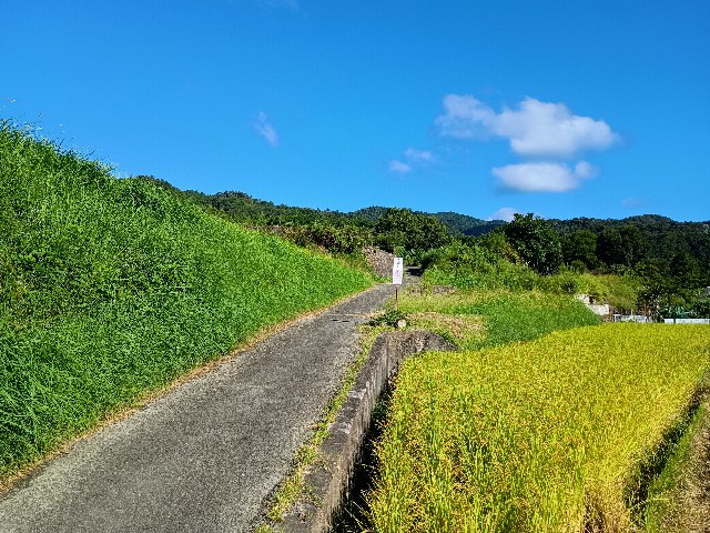f:id:developingexplorer:20240928150252j:image
