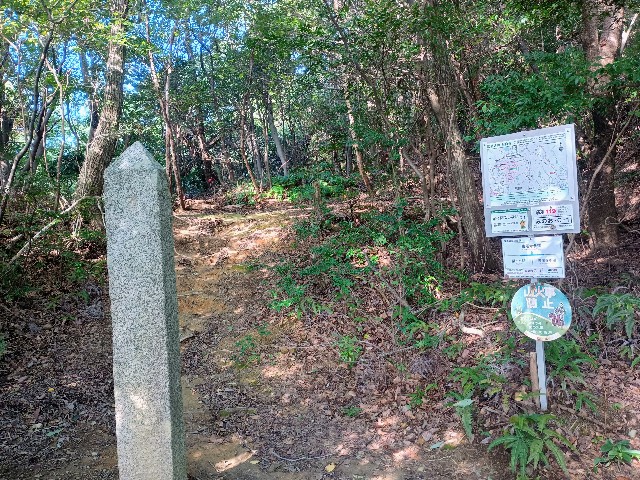 f:id:developingexplorer:20240928151042j:image