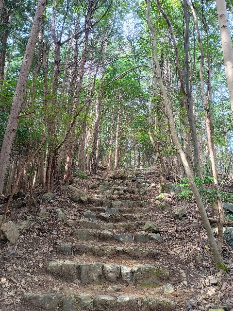 f:id:developingexplorer:20240928152513j:image
