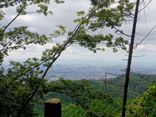 f:id:developingexplorer:20240928152613j:image