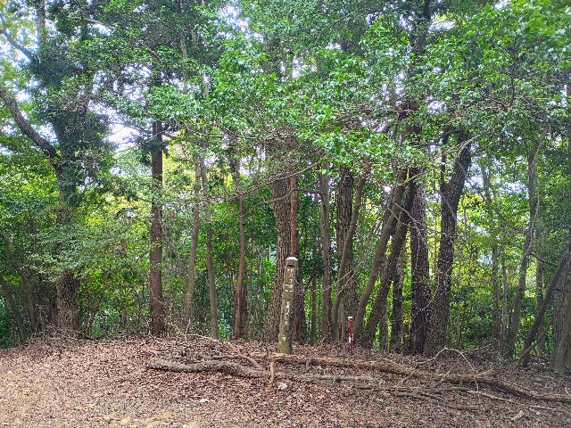 f:id:developingexplorer:20240928152617j:image