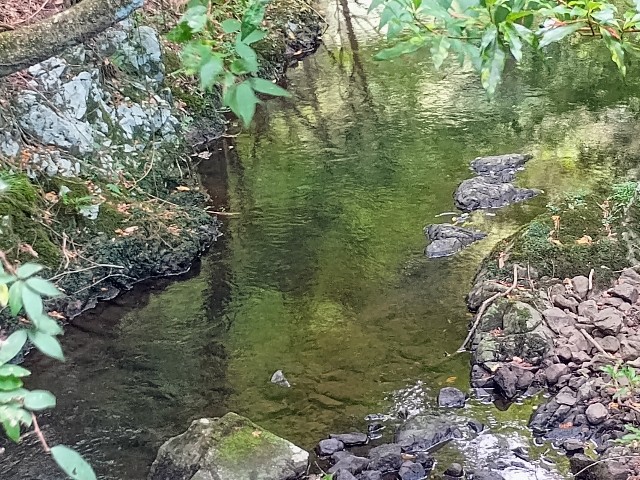f:id:developingexplorer:20240928152833j:image