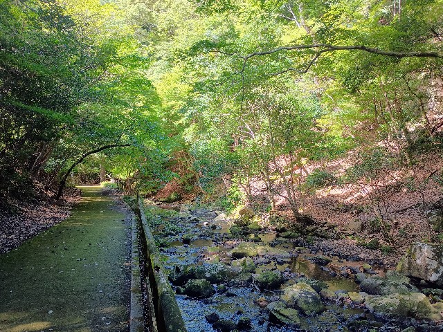 f:id:developingexplorer:20240928161011j:image