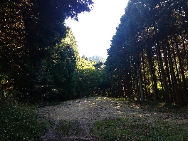 f:id:developingexplorer:20241005144702j:image