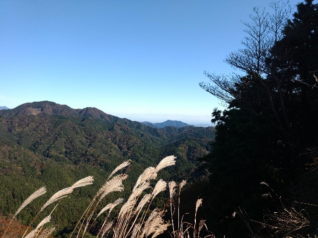 f:id:developingexplorer:20241005150404j:image