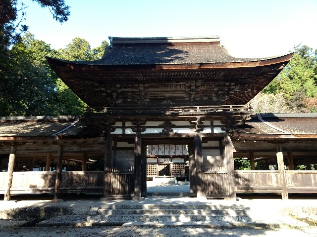 f:id:developingexplorer:20241005153701j:image