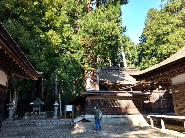 f:id:developingexplorer:20241005153824j:image