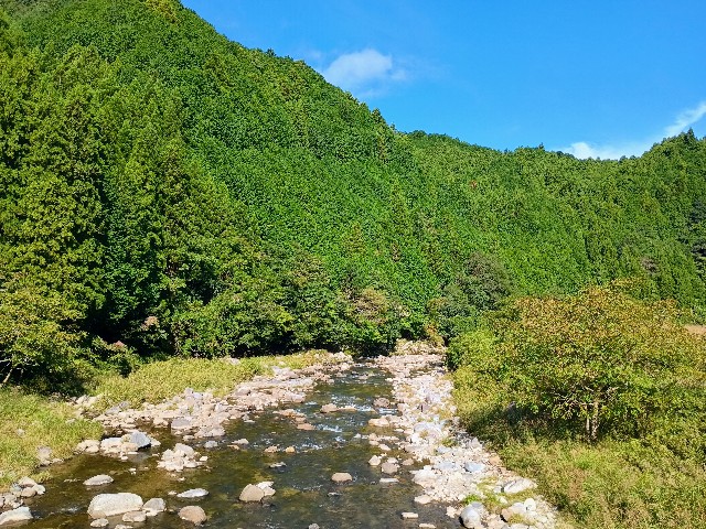 f:id:developingexplorer:20241012141733j:image
