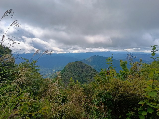 f:id:developingexplorer:20241012151057j:image