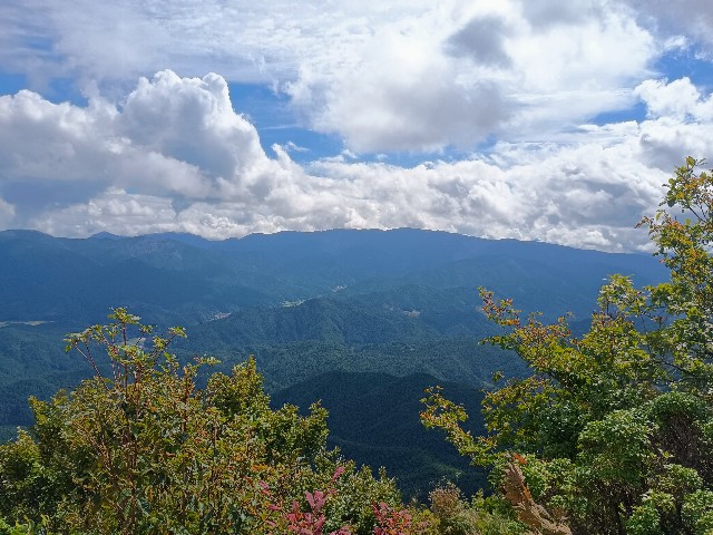 f:id:developingexplorer:20241012152423j:image