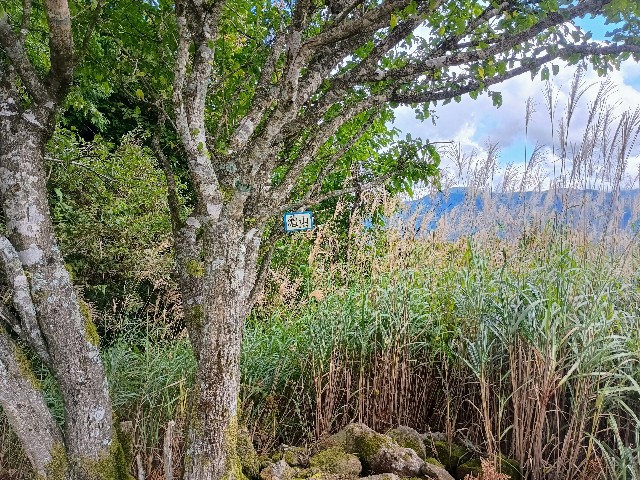 f:id:developingexplorer:20241012153711j:image