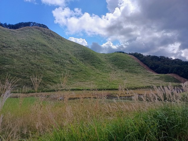 f:id:developingexplorer:20241012153956j:image