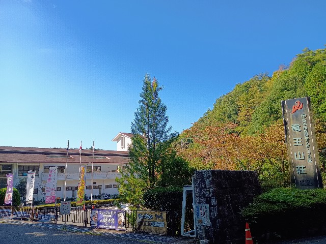 f:id:developingexplorer:20241020065506j:image