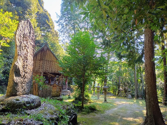 f:id:developingexplorer:20241020071729j:image