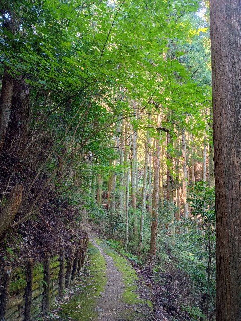 f:id:developingexplorer:20241020121013j:image