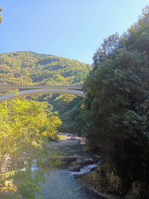 f:id:developingexplorer:20241020121909j:image