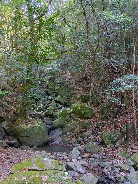 f:id:developingexplorer:20241020123028j:image