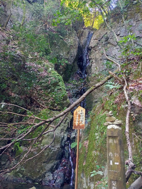 f:id:developingexplorer:20241020123038j:image