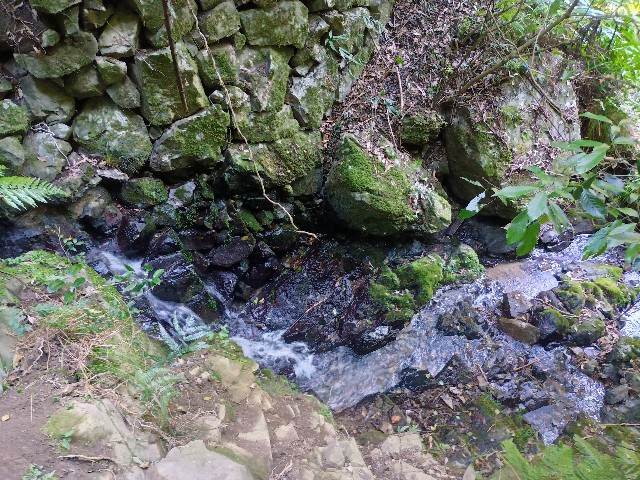 f:id:developingexplorer:20241020123846j:image