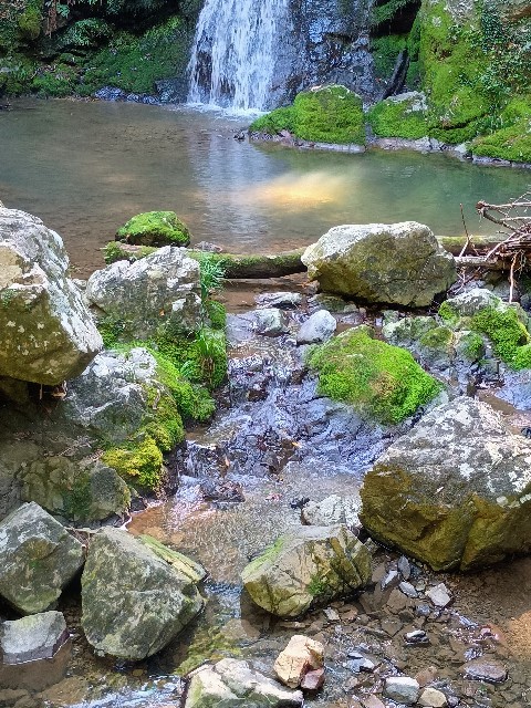 f:id:developingexplorer:20241020125103j:image