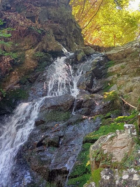 f:id:developingexplorer:20241020125109j:image