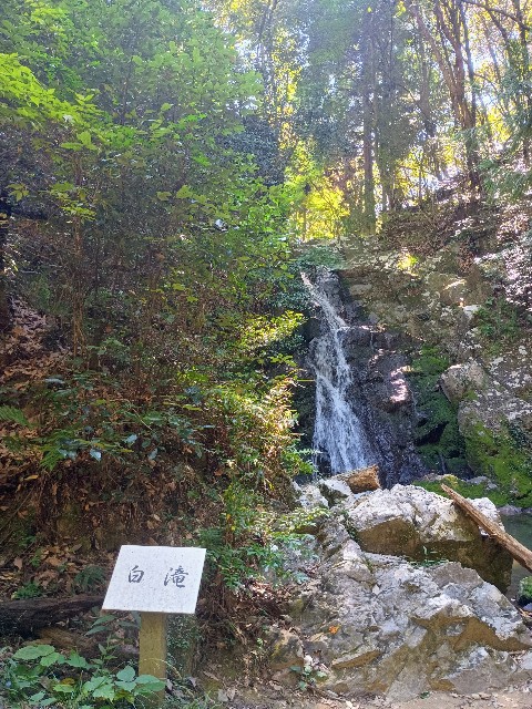 f:id:developingexplorer:20241020125115j:image