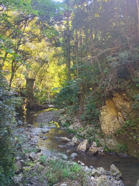 f:id:developingexplorer:20241020125346j:image