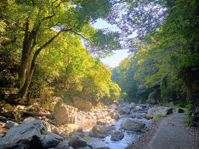 f:id:developingexplorer:20241020125357j:image