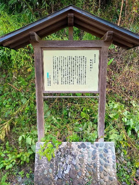f:id:developingexplorer:20241102074012j:image