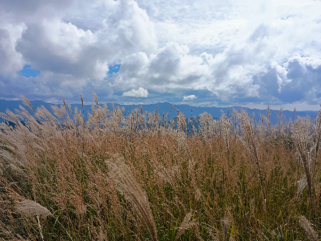 f:id:developingexplorer:20241102110817j:image