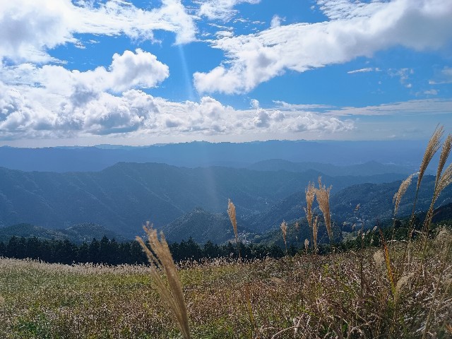 f:id:developingexplorer:20241102110846j:image