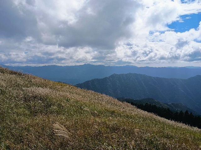 f:id:developingexplorer:20241102110851j:image