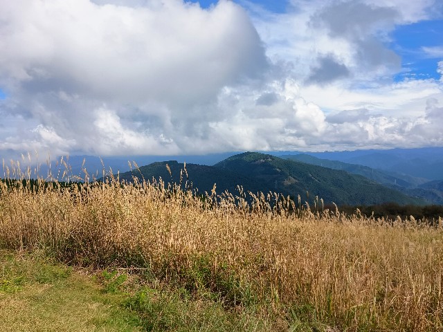 f:id:developingexplorer:20241102110859j:image